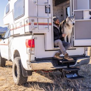 Battle-Born-Loki-the-Wolfdog-8500-scaled